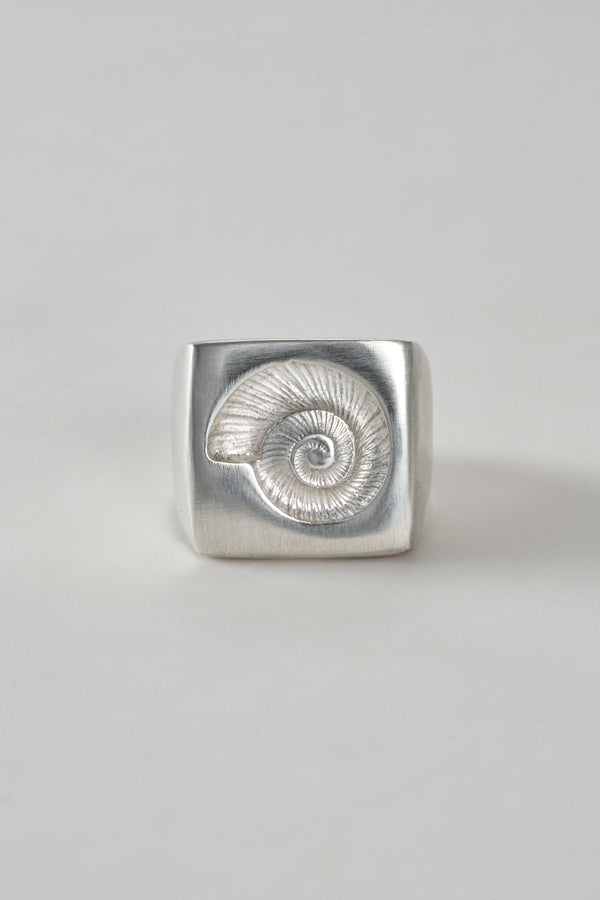 Anillo nautilus plata