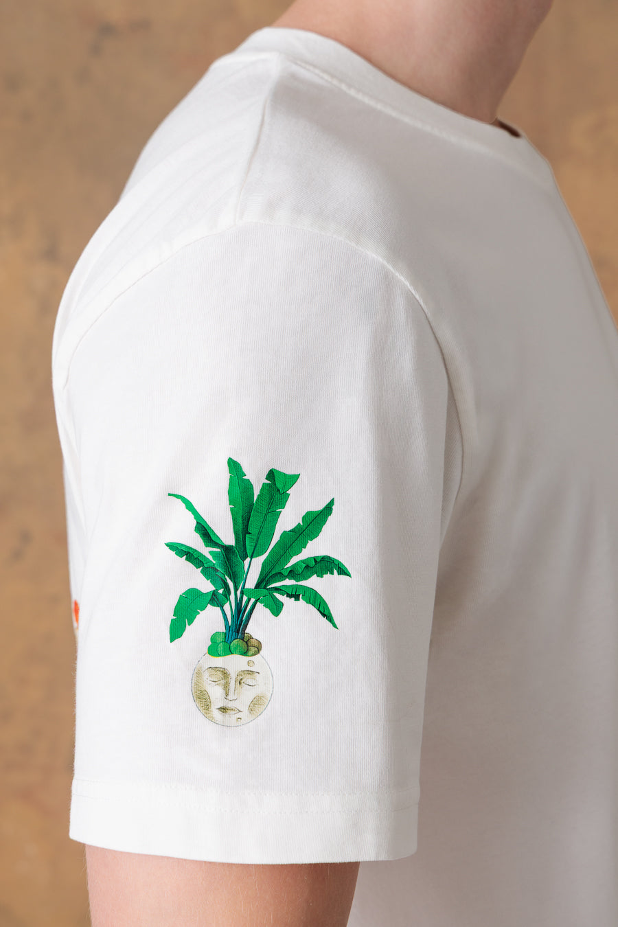 camiseta de algodón blanca para hombre panteon