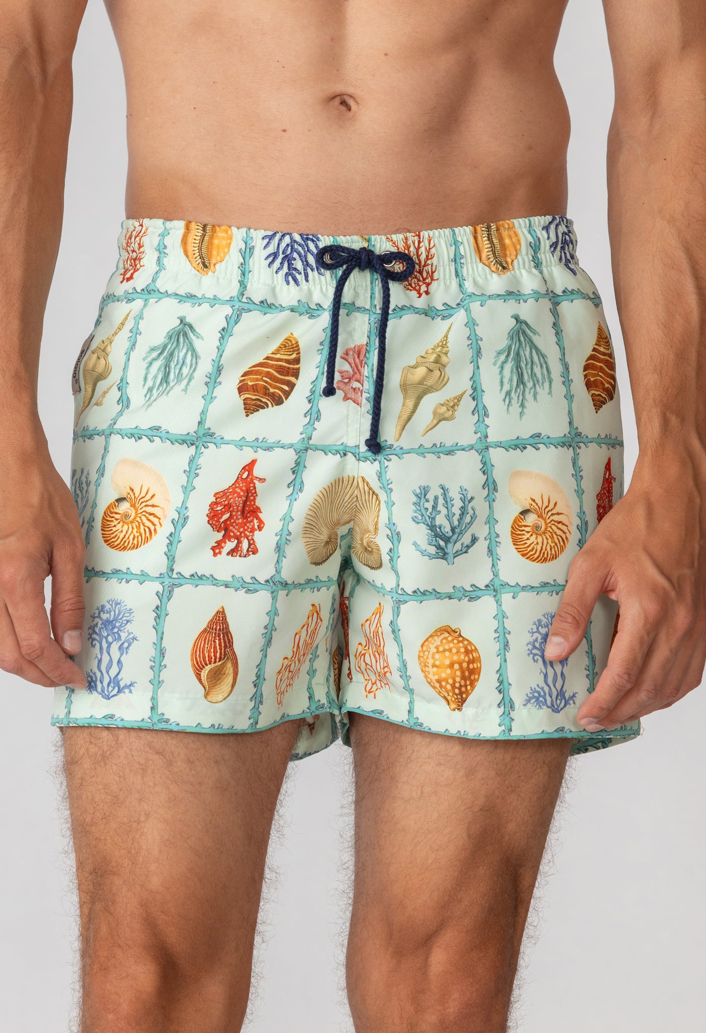 tambor swim trunk