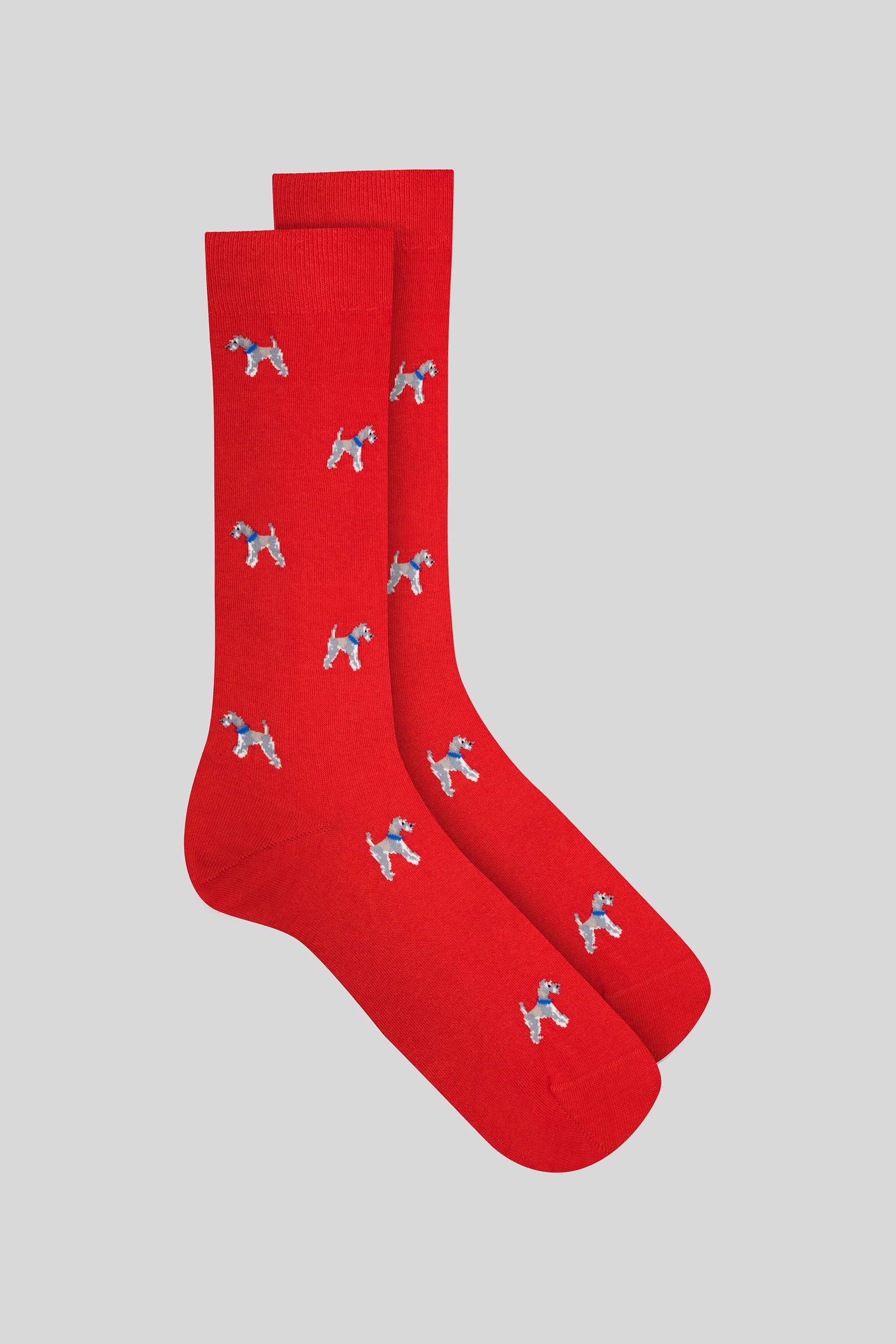 calcetín rojo con perros para hombre