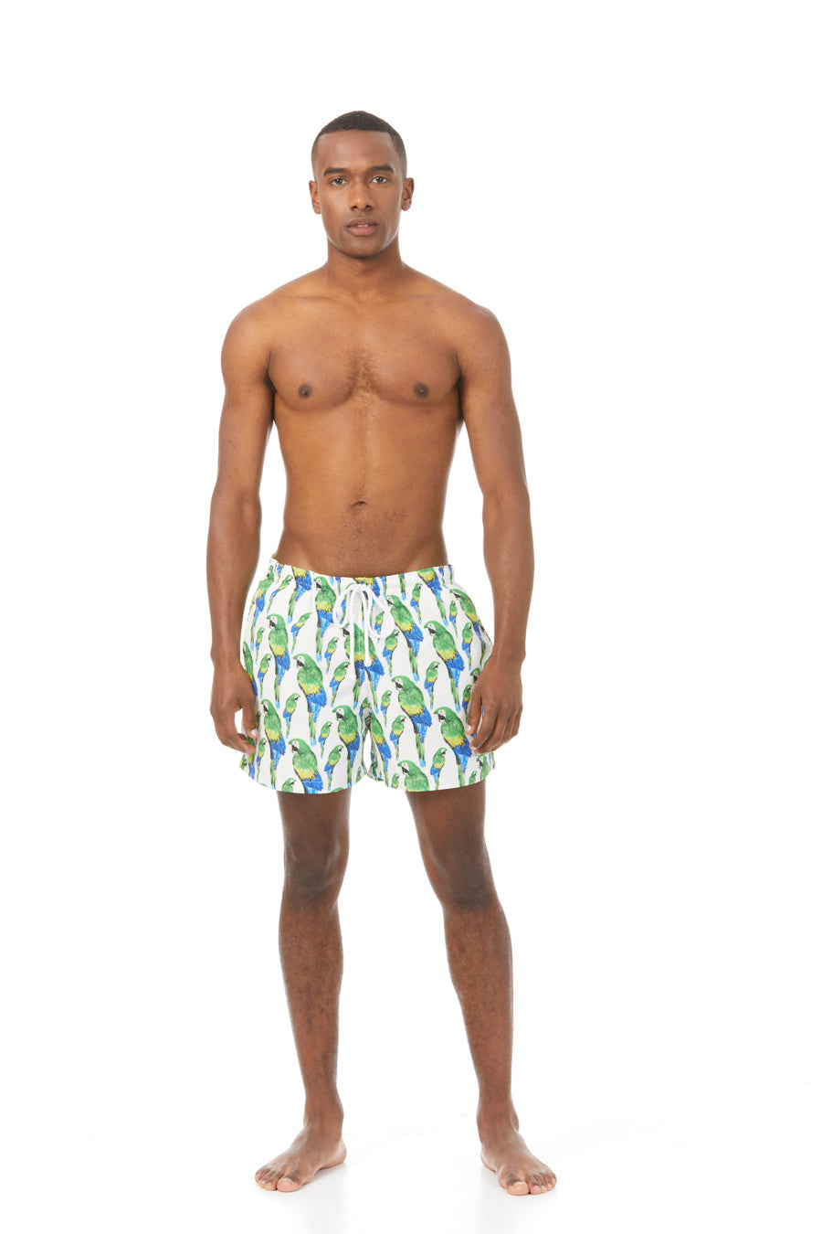 men’s papagayo swim trunk green