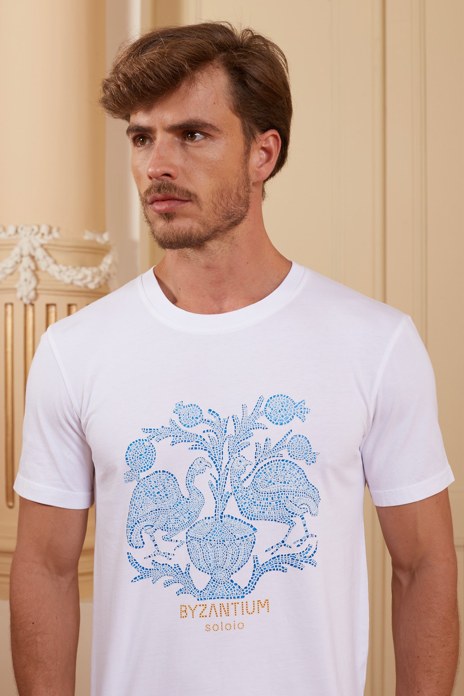 men’s cotton t-shirt blue musas