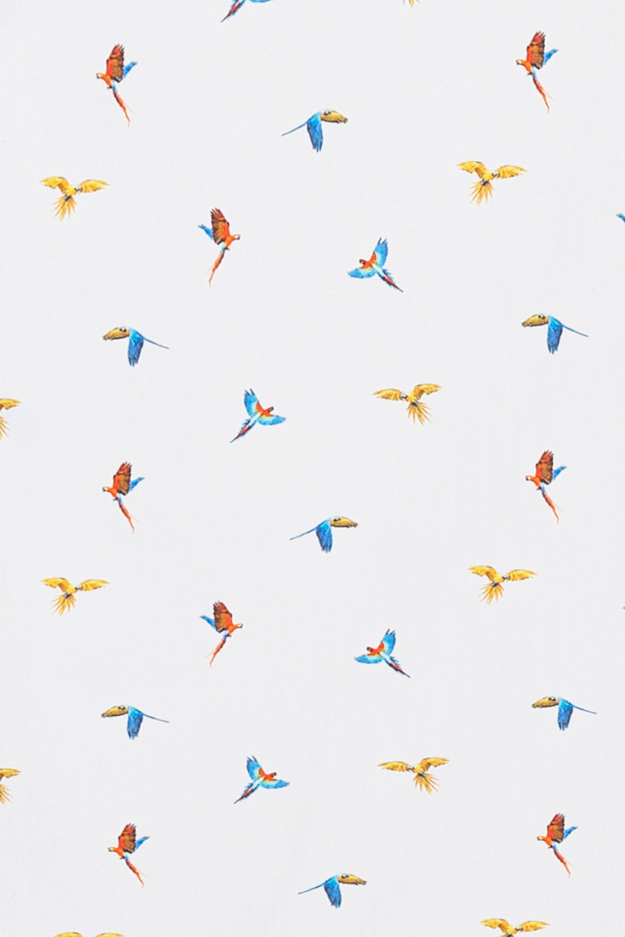 men’s cotton shirt white small macaws
