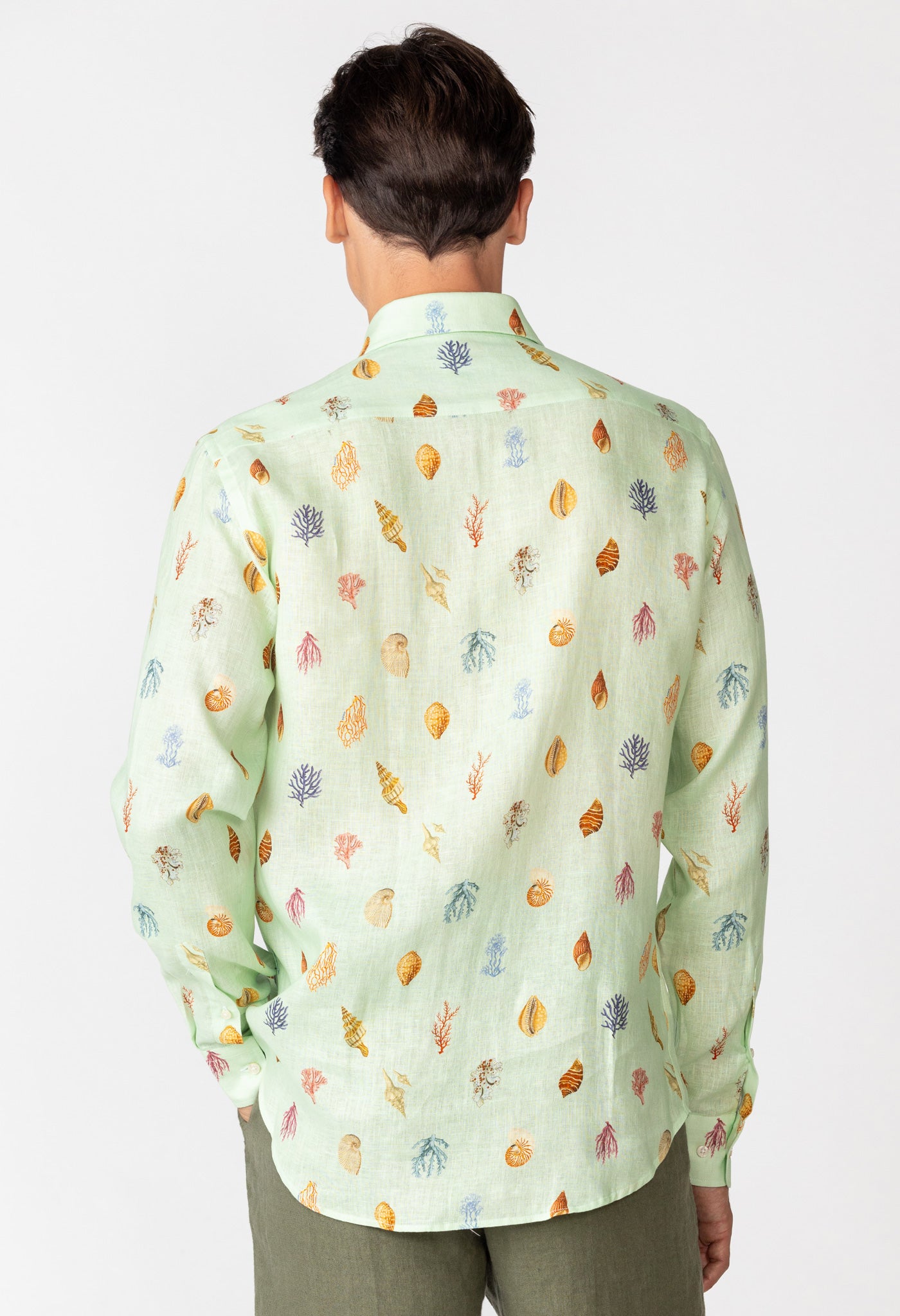 albatros shirt