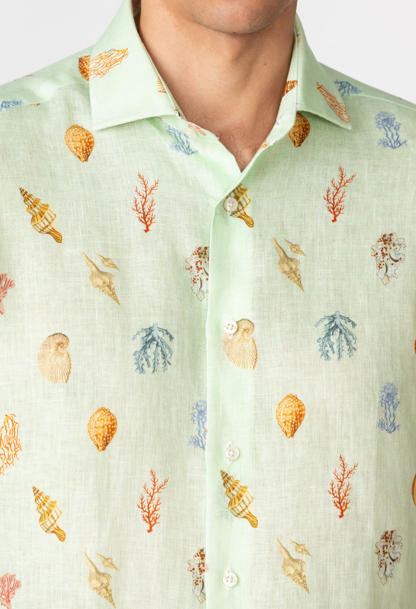 albatros shirt