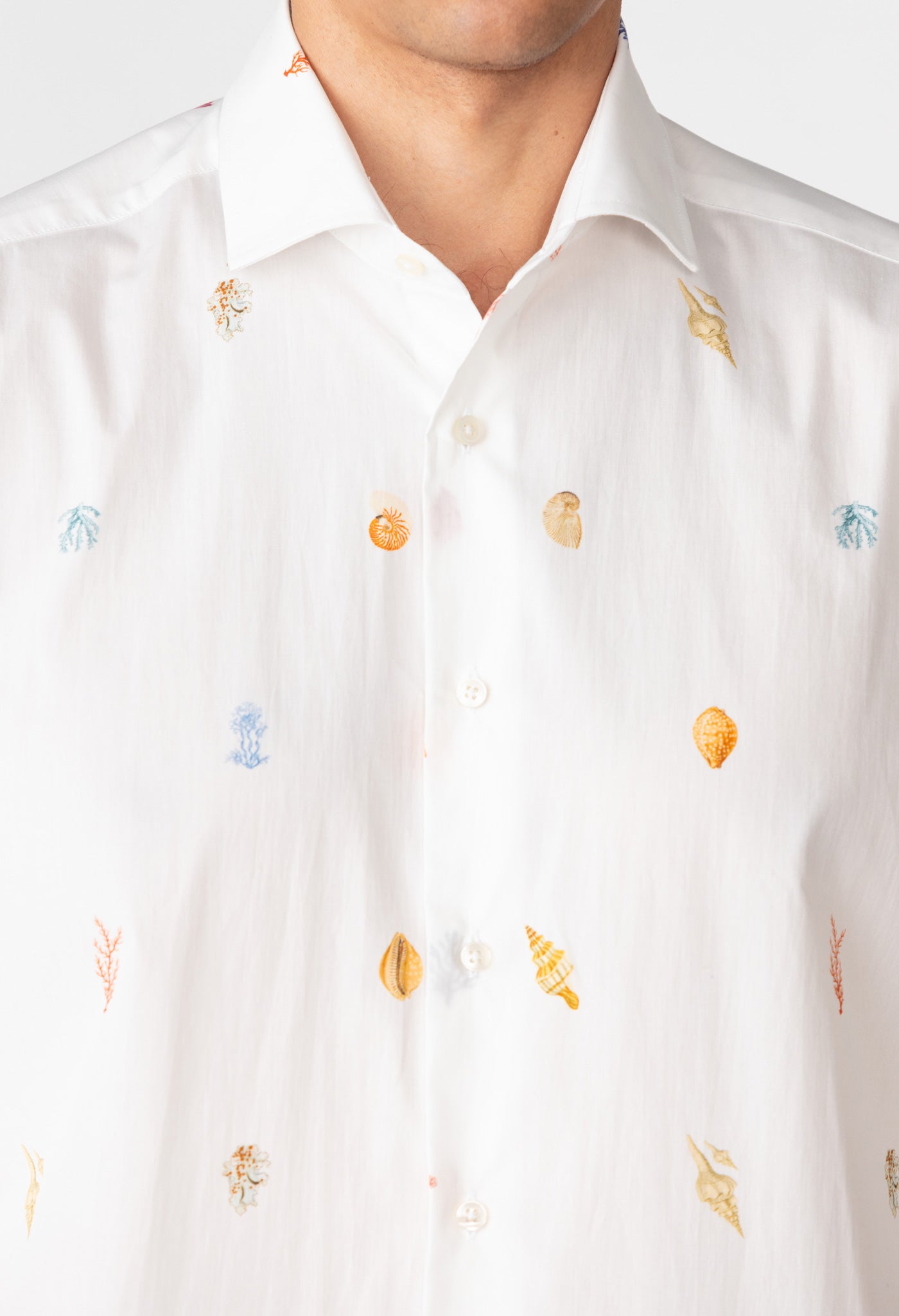 albatros shirt