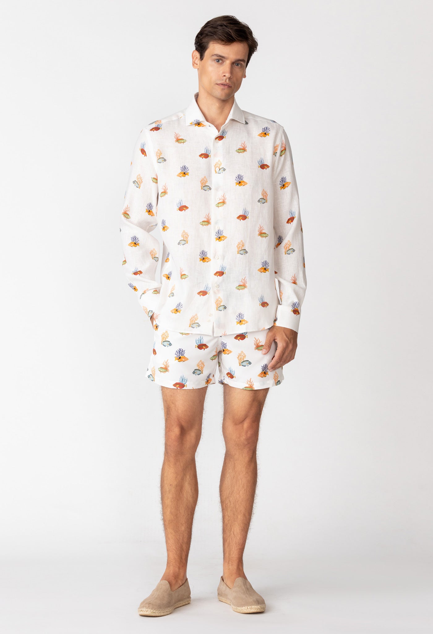 grampus camisa