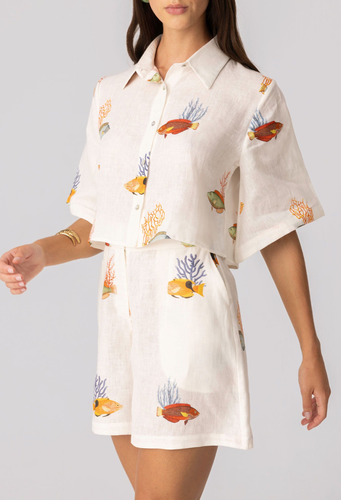 camisa nemo
