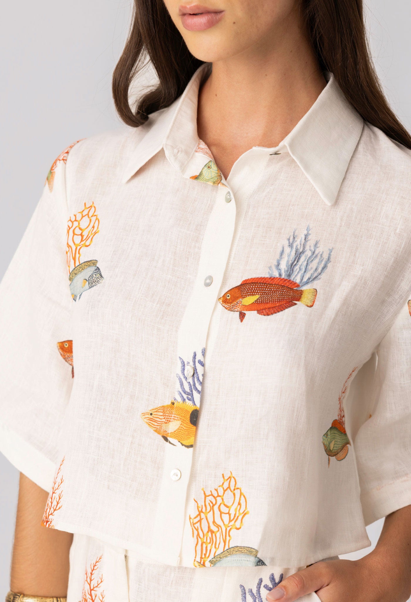 camisa nemo