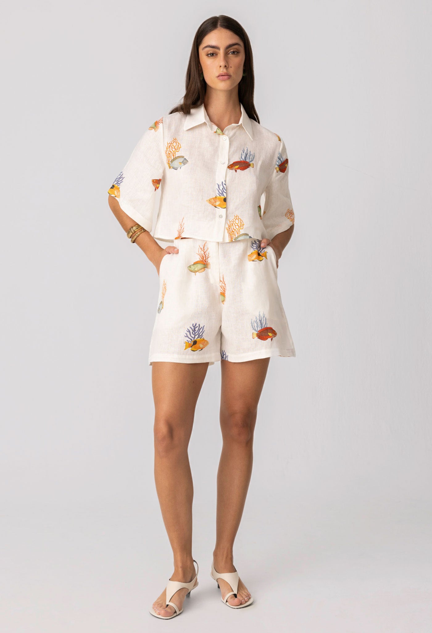 camisa nemo