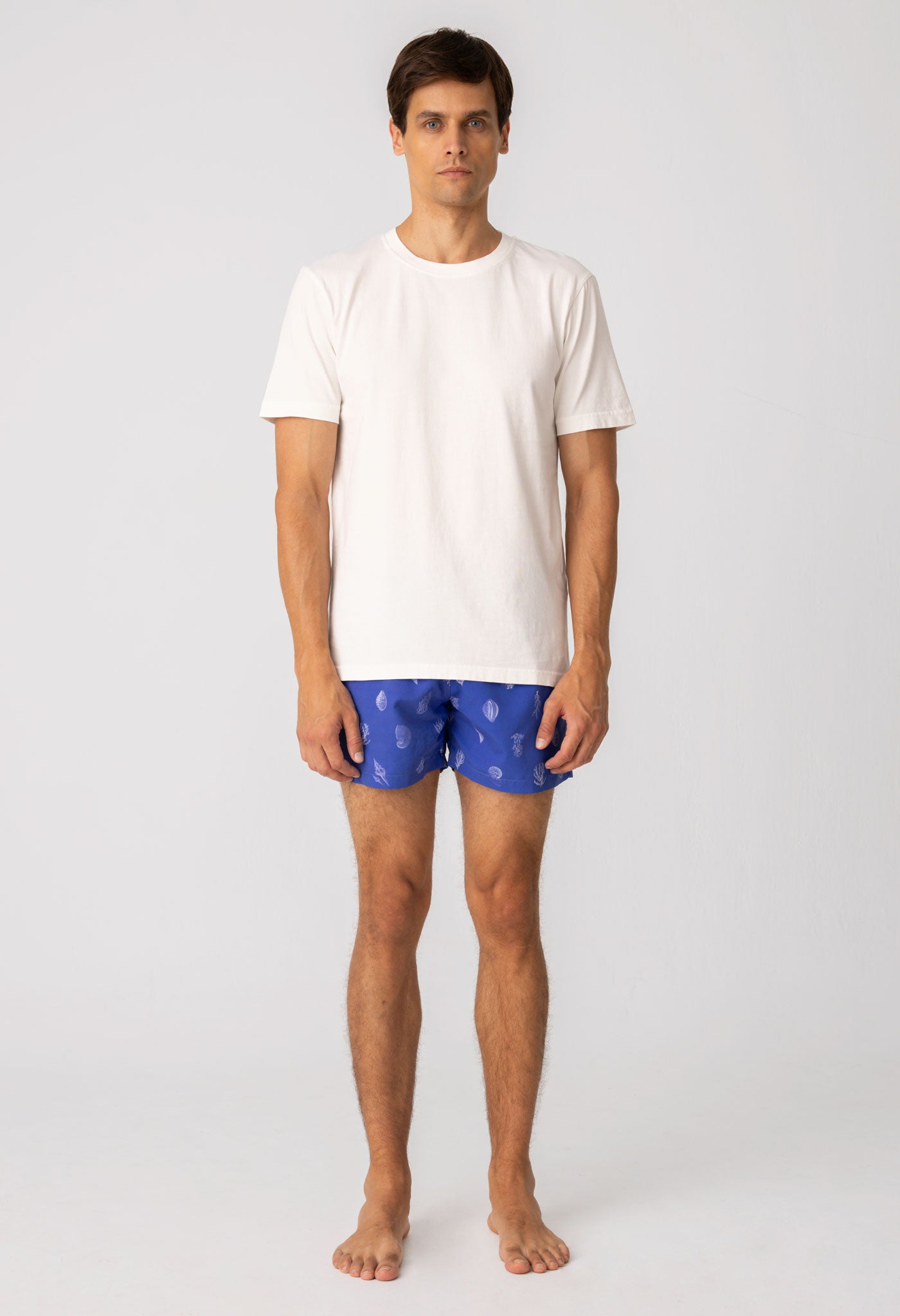 albatros camiseta