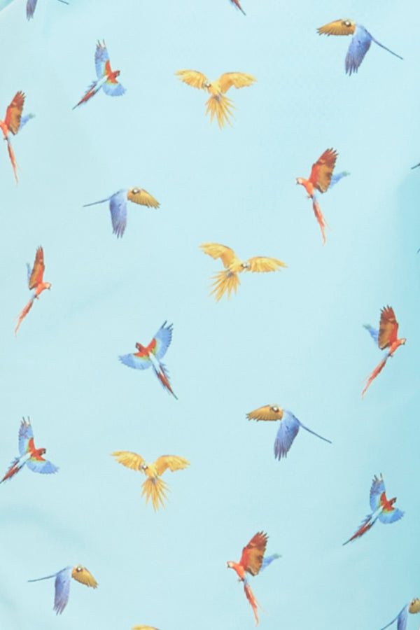 small macaw swimsuit lorenzo sky blue - soloio