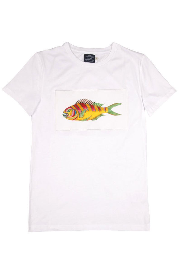 camiseta básica pez domi