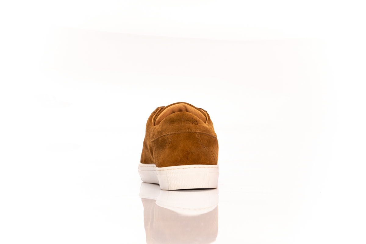 Tenis luiggi whisky