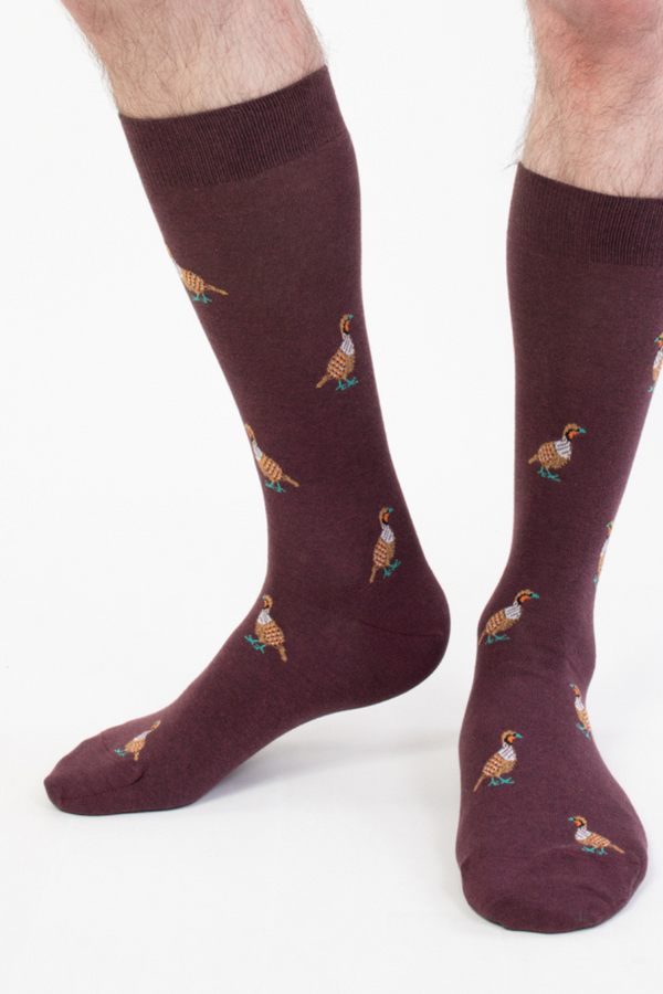 burgundy partridge sock