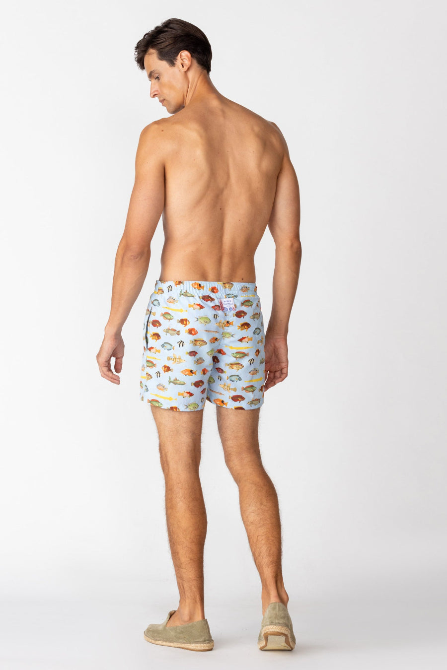 ned bañador