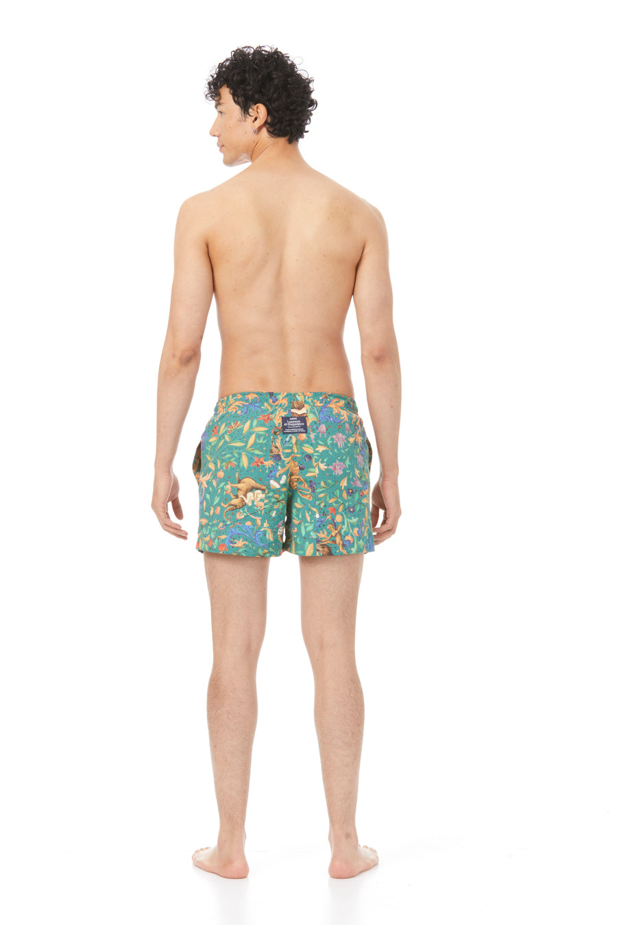 lorenzo swim trunk large green