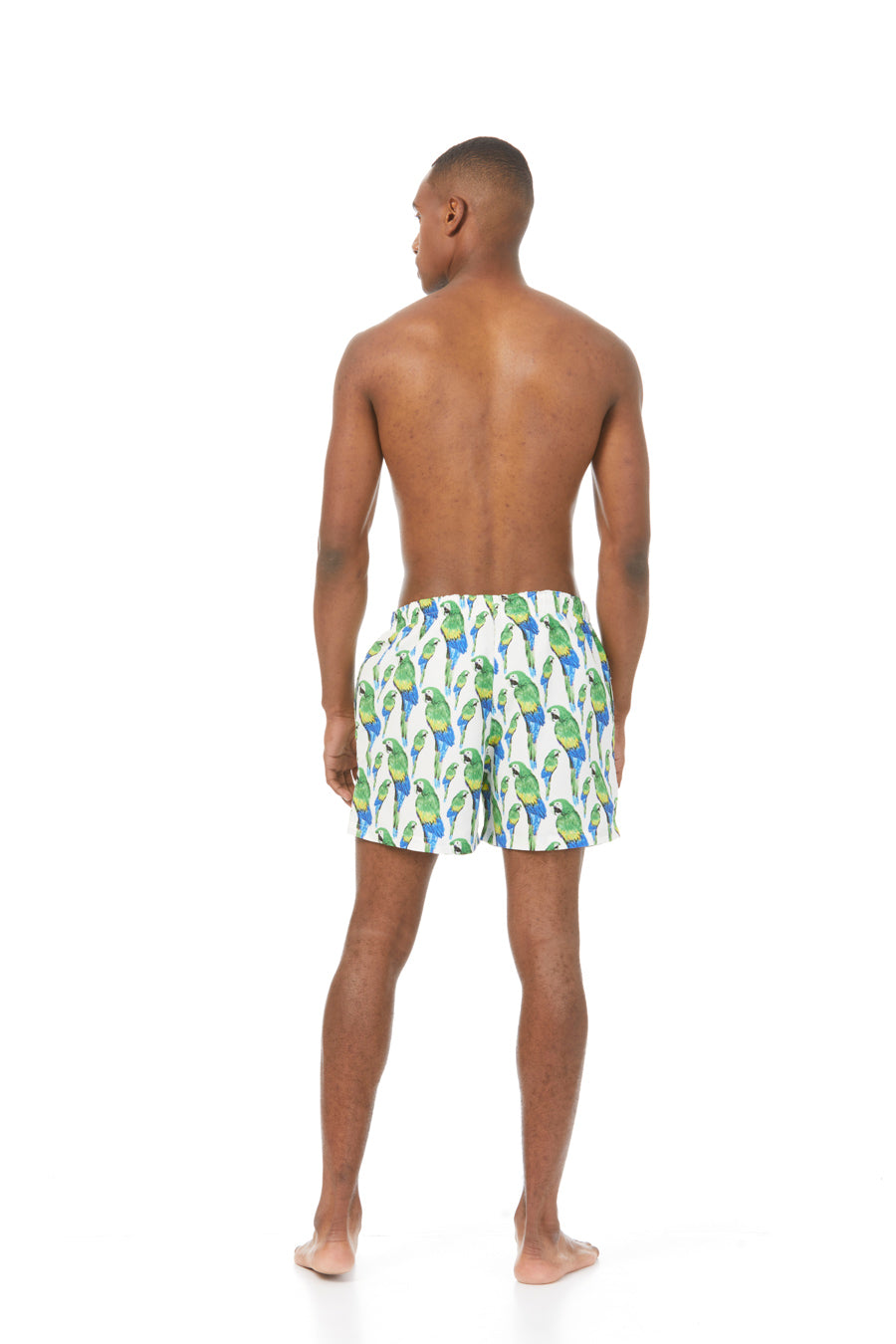 papagayo swim trunk green