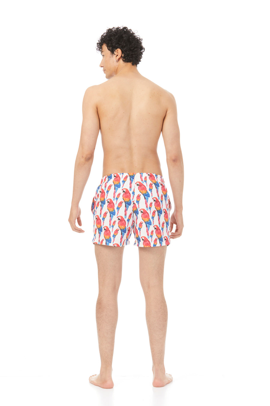 papagayo swim trunk red