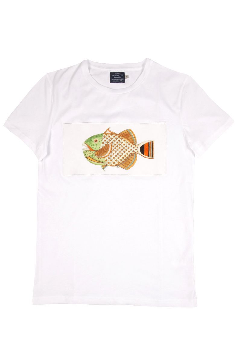 basic fish t-shirt loan - soloio