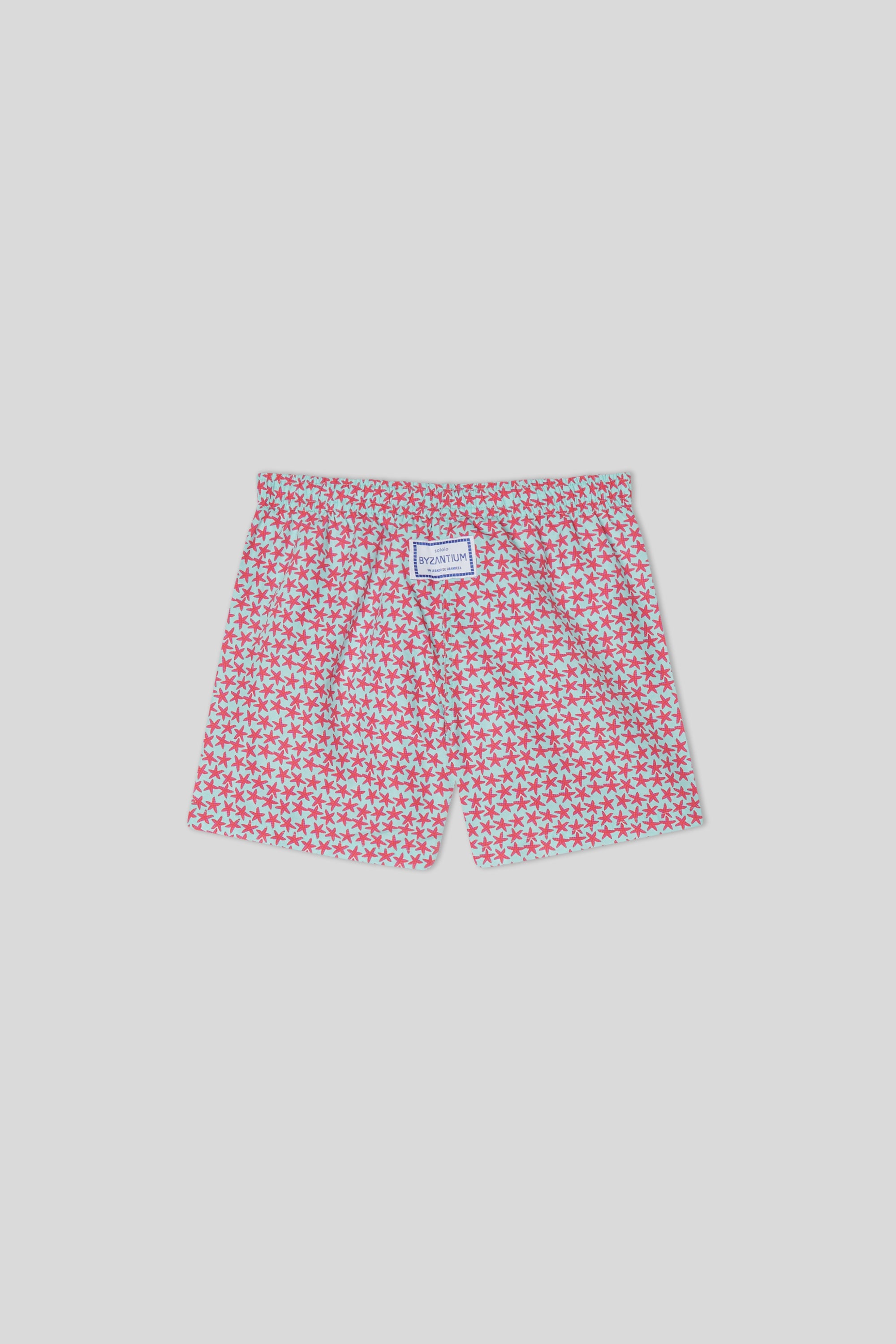 estelle swim trunk turquoise
