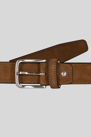 cogna crosta belt - soloio