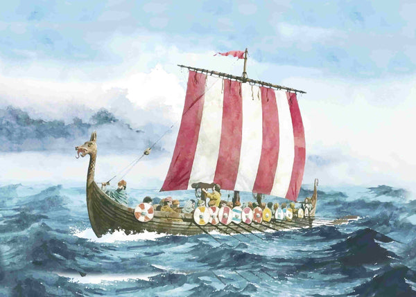 viking boat t-shirt