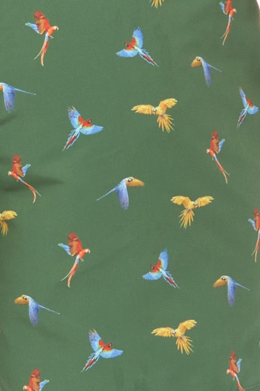 small macaw swimsuit lorenzo green - soloio