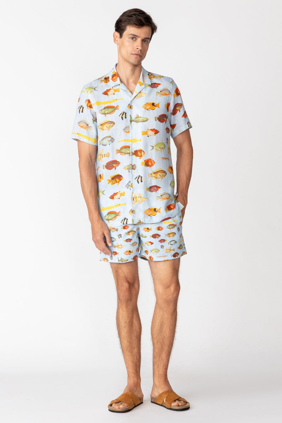 ned camisa