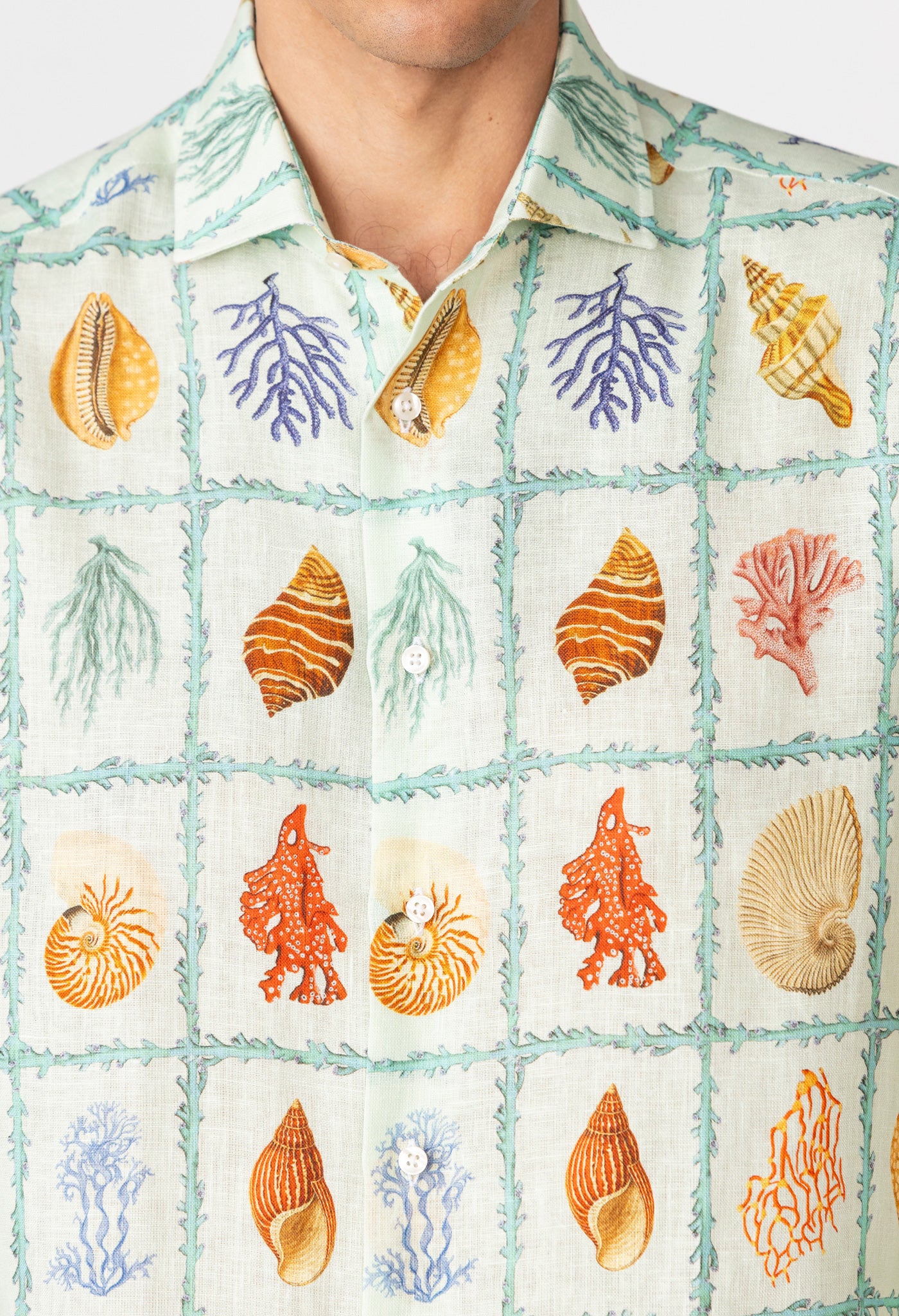tambor shirt