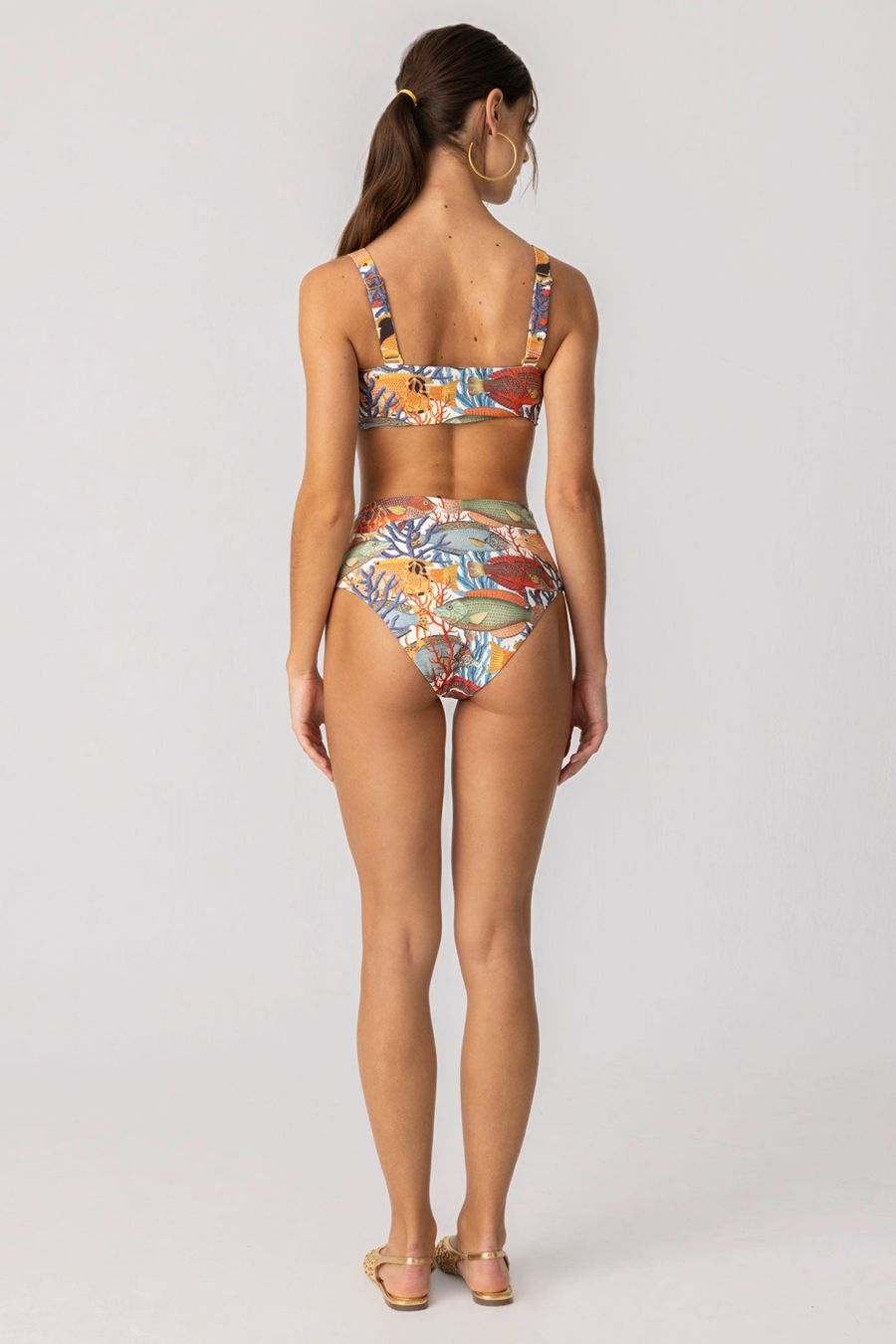 panty nemo
