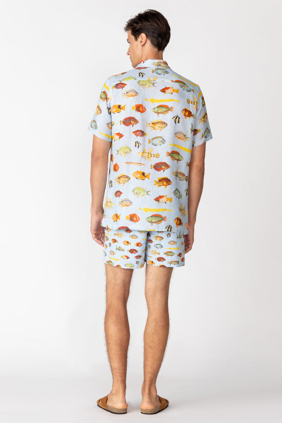ned camisa