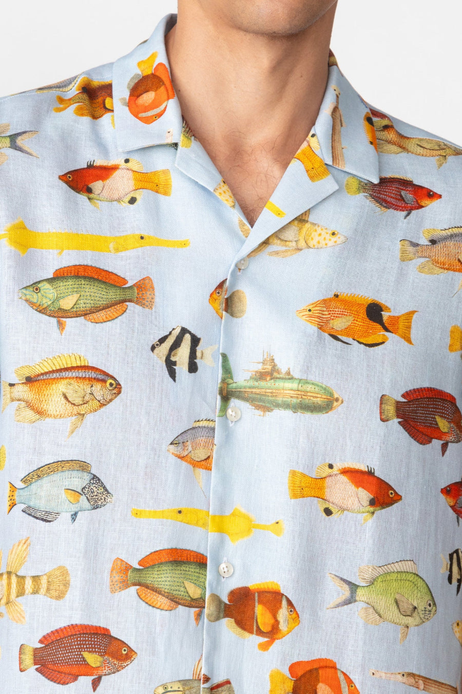 ned camisa