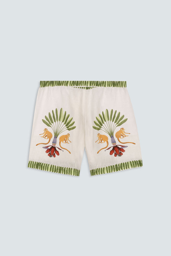 men’s linen bermuda titi