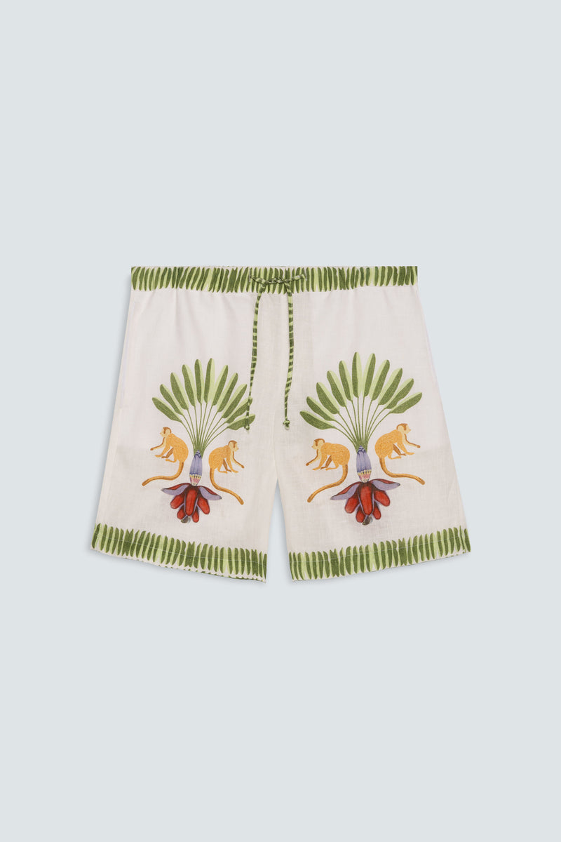 Men's linen bermuda titi