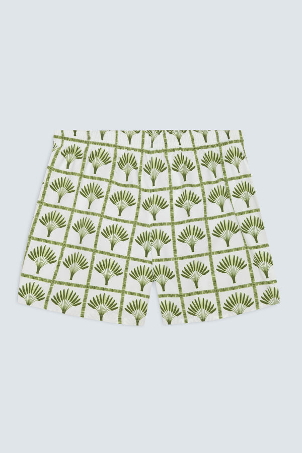 Bañador palmar verde para hombre