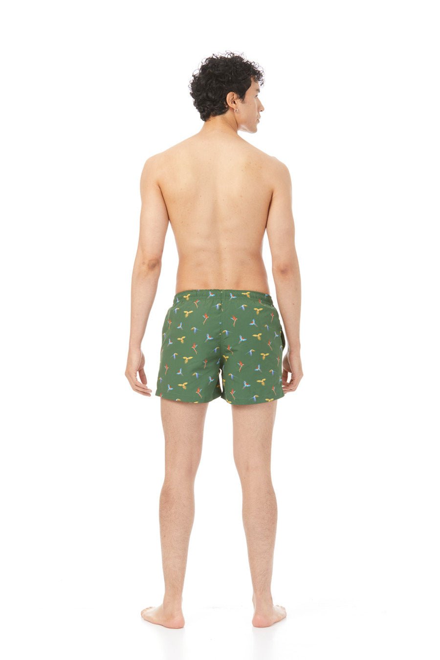 small macaw swimsuit lorenzo green - soloio