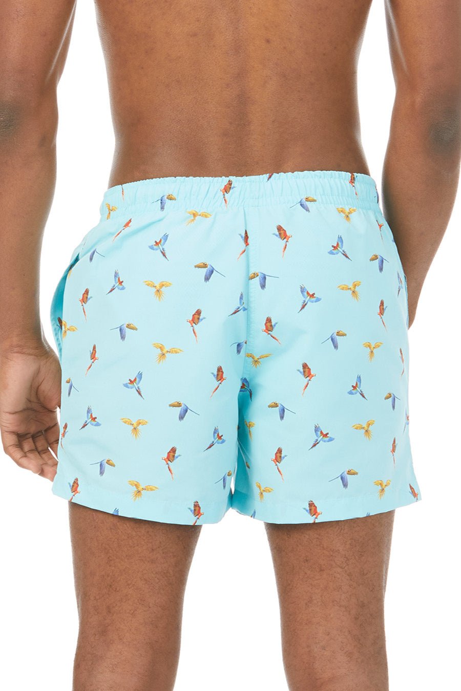 small macaw swimsuit lorenzo sky blue - soloio