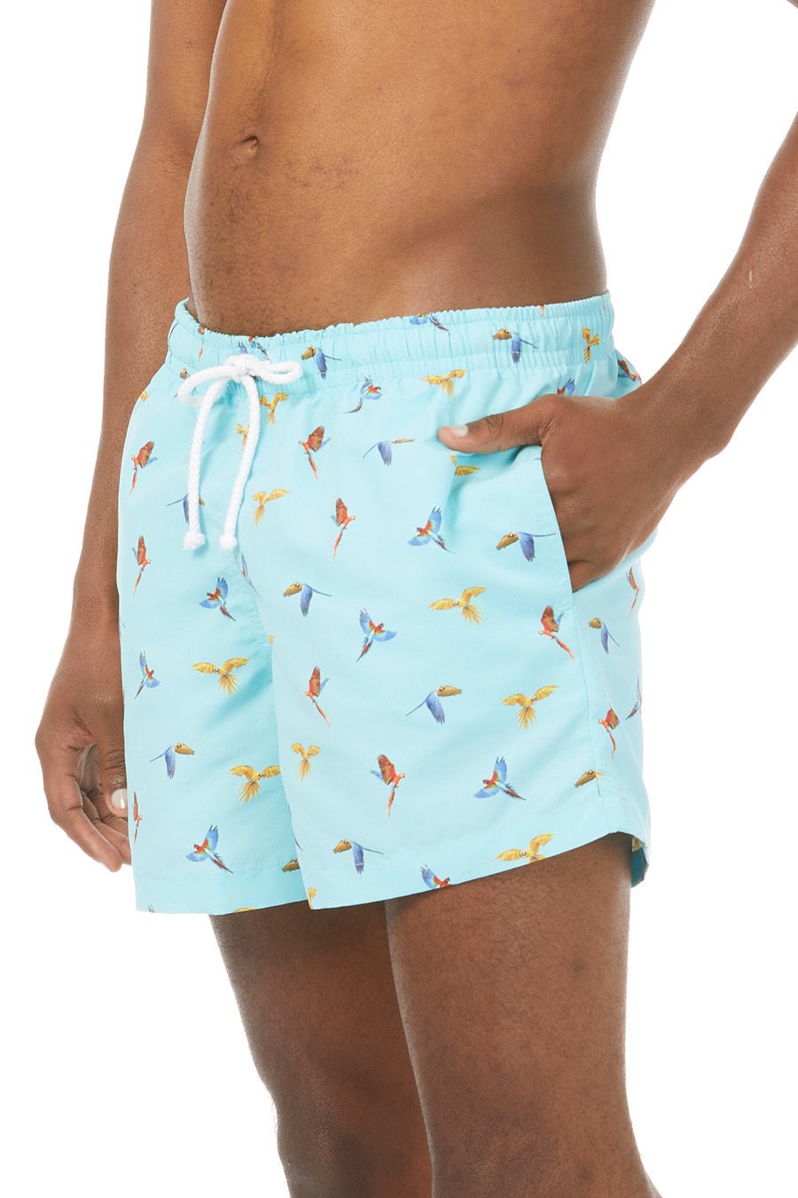 small macaw swimsuit lorenzo sky blue - soloio