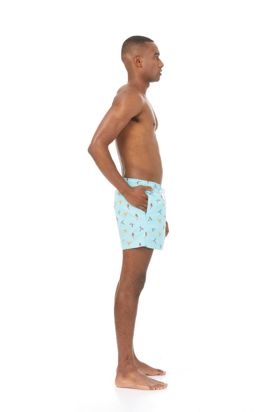 small macaw swimsuit lorenzo sky blue - soloio