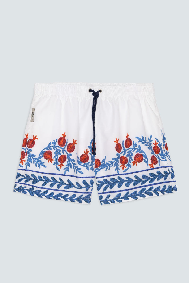 Men's eden swim trunk